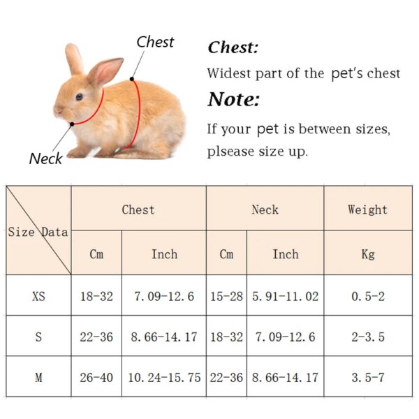 Cute Angel Wing Pet Harness and Leash for Cats and Rabbits - Image 2