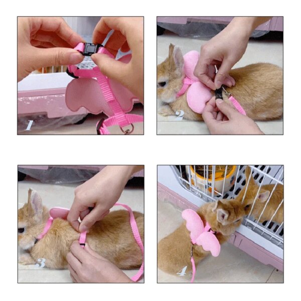 Cute Angel Wing Pet Harness and Leash for Cats and Rabbits - Image 6
